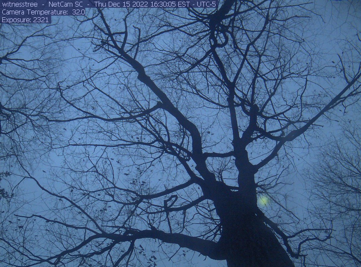 awitnesstree's tweet photo. @SquishyFoxi Here you go! https://t.co/rerroTbjZy