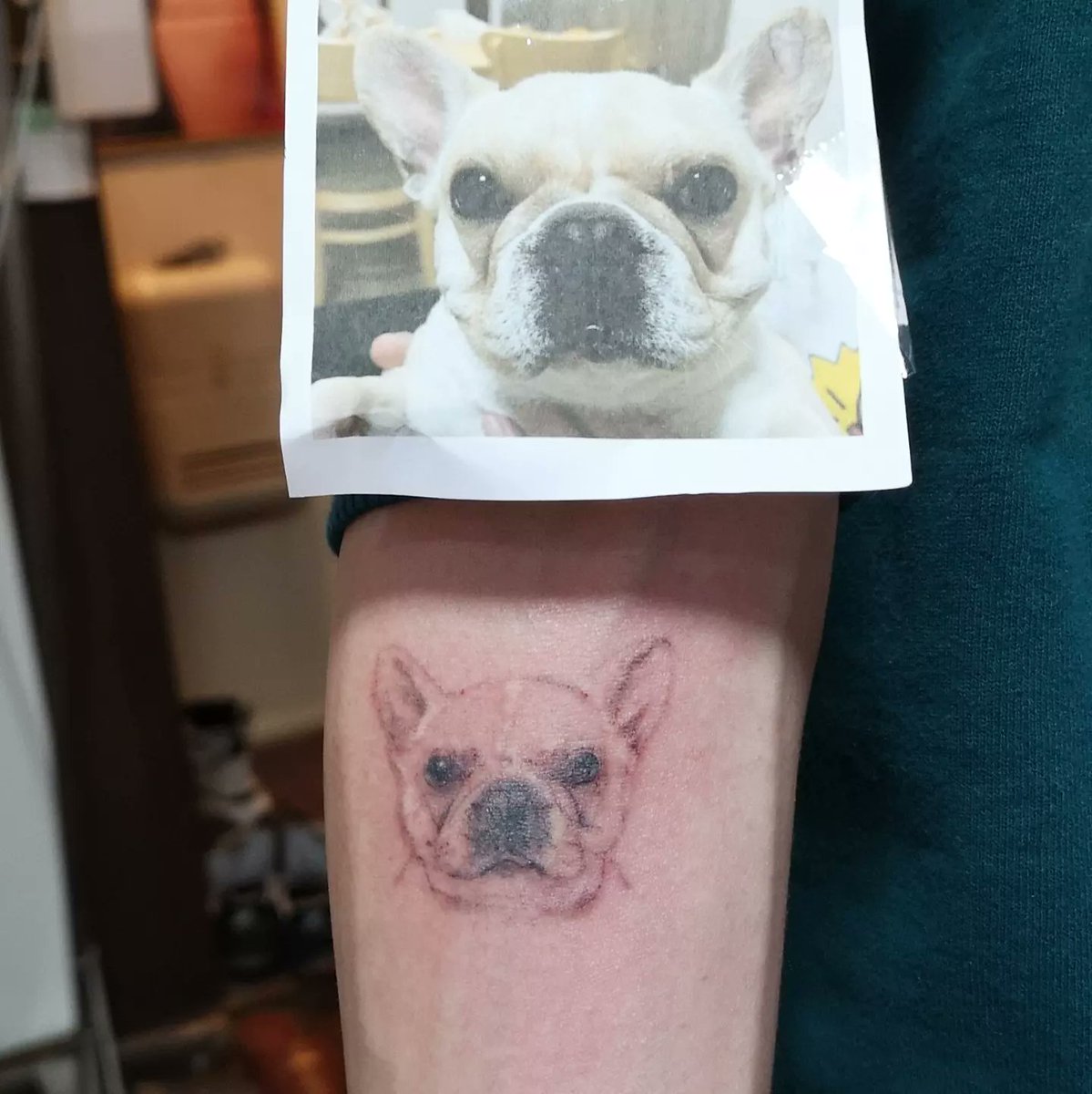 Outline Dog Ear Tattoo Designs For Minimalist Dog Lovers, image size:1199x1200