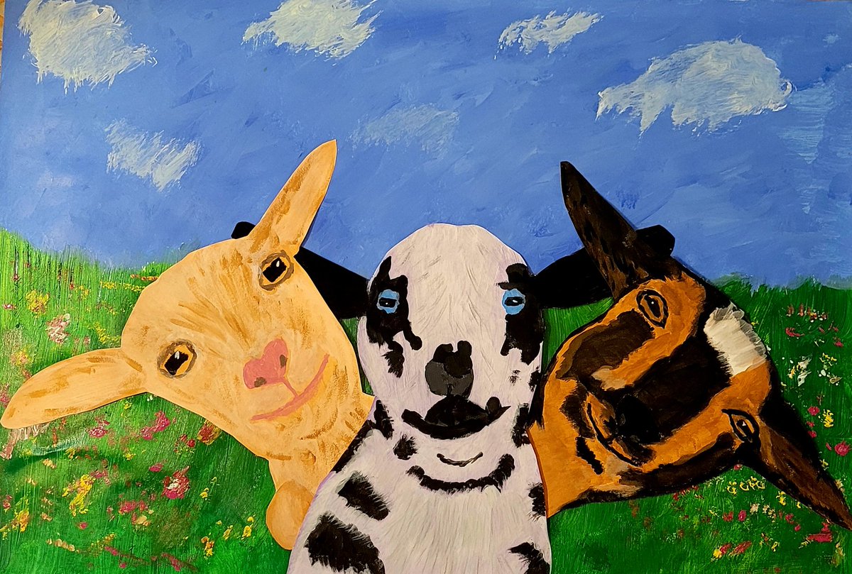 🐐Winston🌈Thatcher🌈Domino, Walnut, Jasper🐐 tweet media