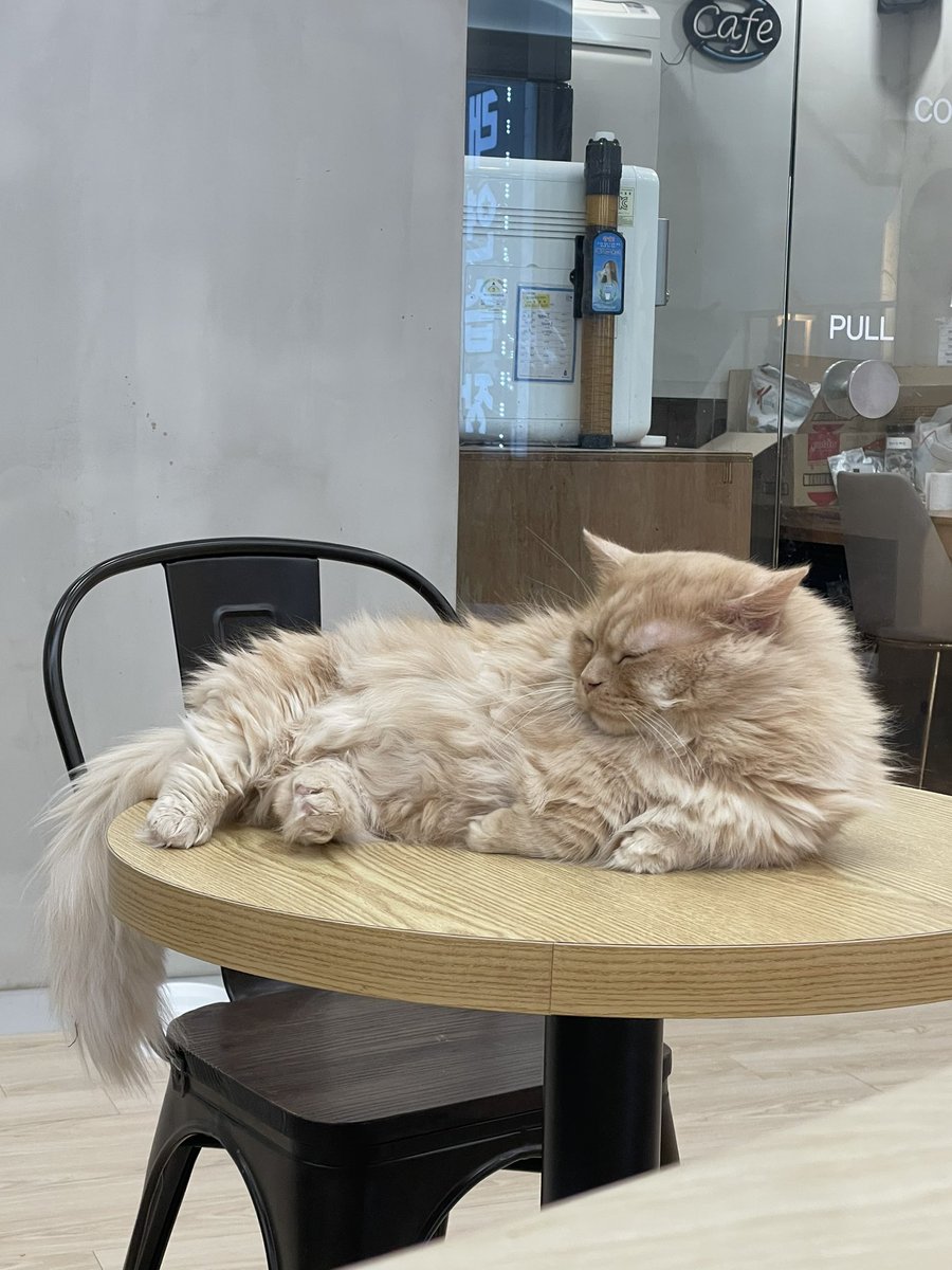 Contractz tweet media