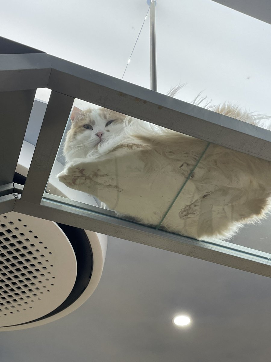 Contractz tweet media