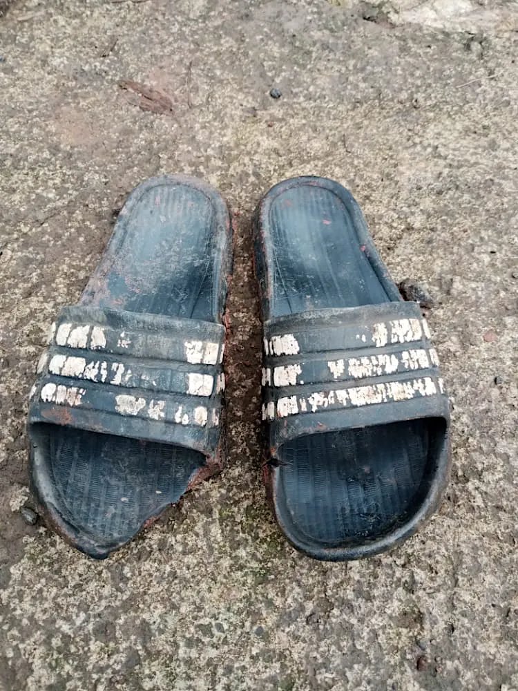 makeitups's tweet photo. Namaku Sani, duduk dibangku kelas tiga SD. Ibuku telah meninggal sejak aku bayi, sementara ayah pergi entah ke mana. Tiap pagi aku berangkat ke sekolah dengan sandal usang dari pemberian kakek dan neneku. 

a thread https://t.co/ghlRprUMdi