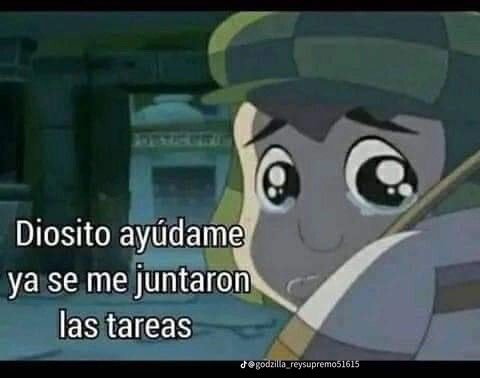 perrogato2876's tweet photo. https://t.co/WUk1Elu000