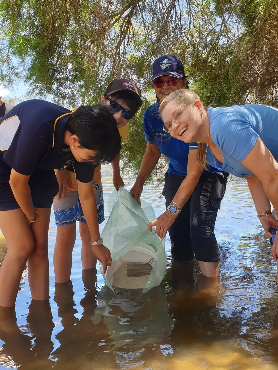 Jesse_Rowley5's tweet photo. 500 baby Black Bream have been released into the Murray River with Murdoch University &amp; students &amp; teachers from John Tonkin College 🐟 It's hoped this will give the existing population a boost so we can enjoy this species for years to come🐟#PeopleWorkingTogether #Ramsar482 #NLP https://t.co/fuuNRSCkUi