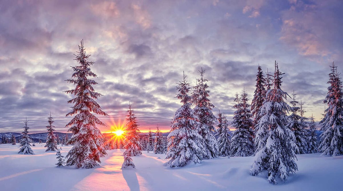 xyzwtf_55's tweet photo. Good morning everyone!😊
#photography #photographer #marisel🇷🇴 https://t.co/NTBPxgRCVV