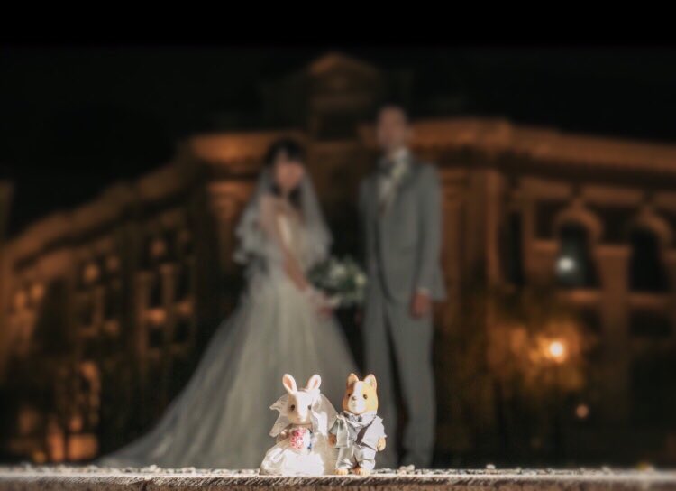 m4snowflake5's tweet photo. 💐Happy Wedding💐 https://t.co/bz5T8S6wUS