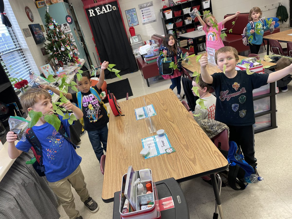 Davina Mann tweet media