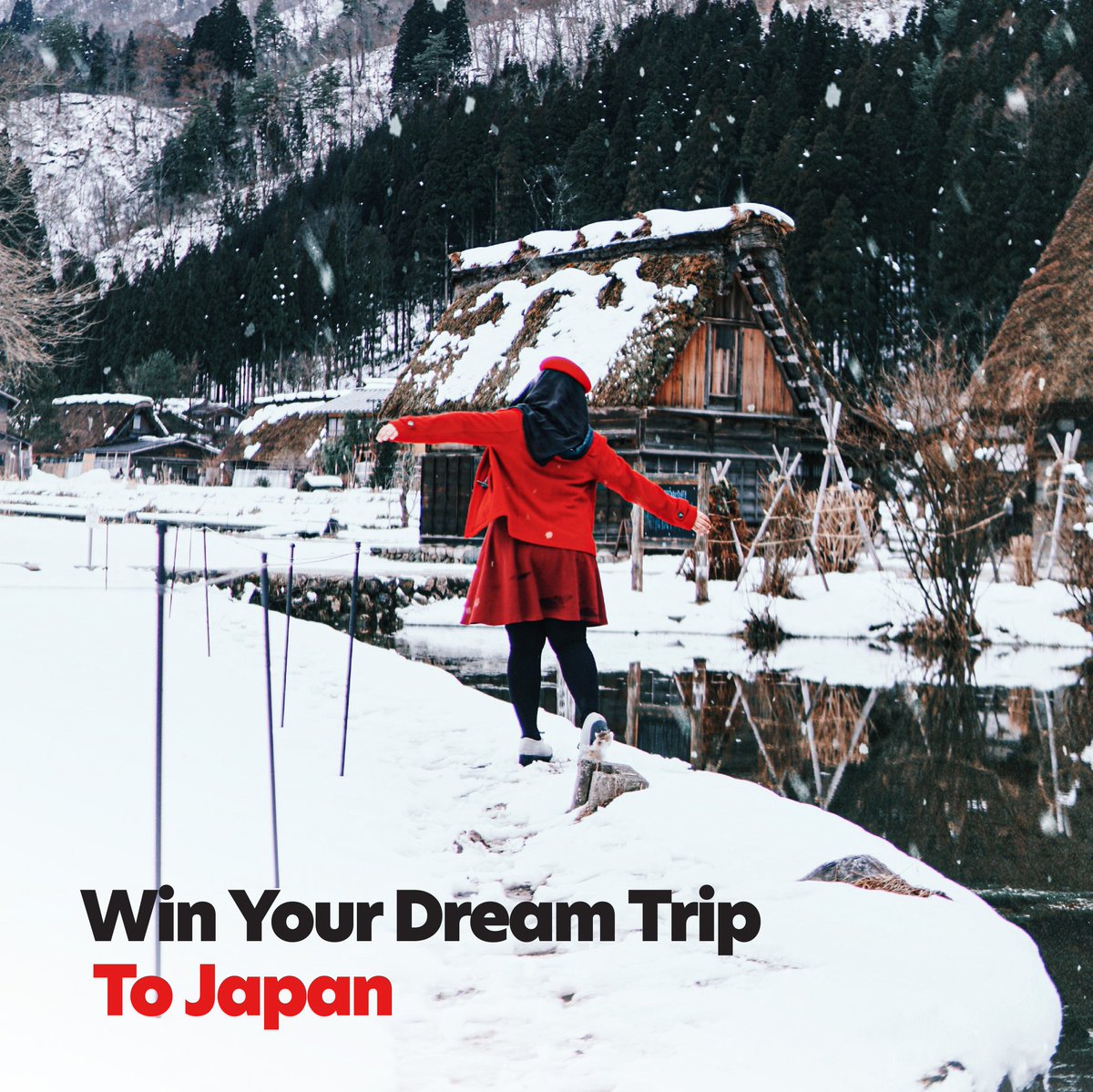 AirAsia tweet media