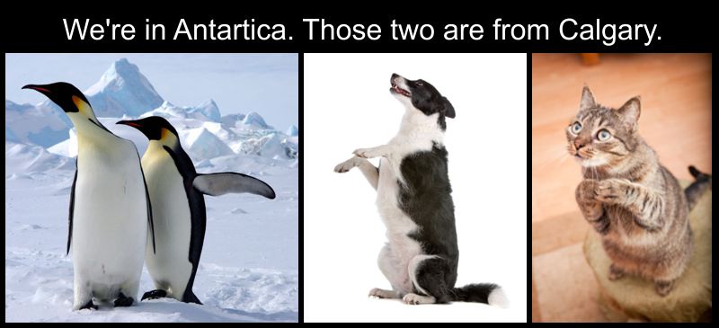 Manifast tweet media