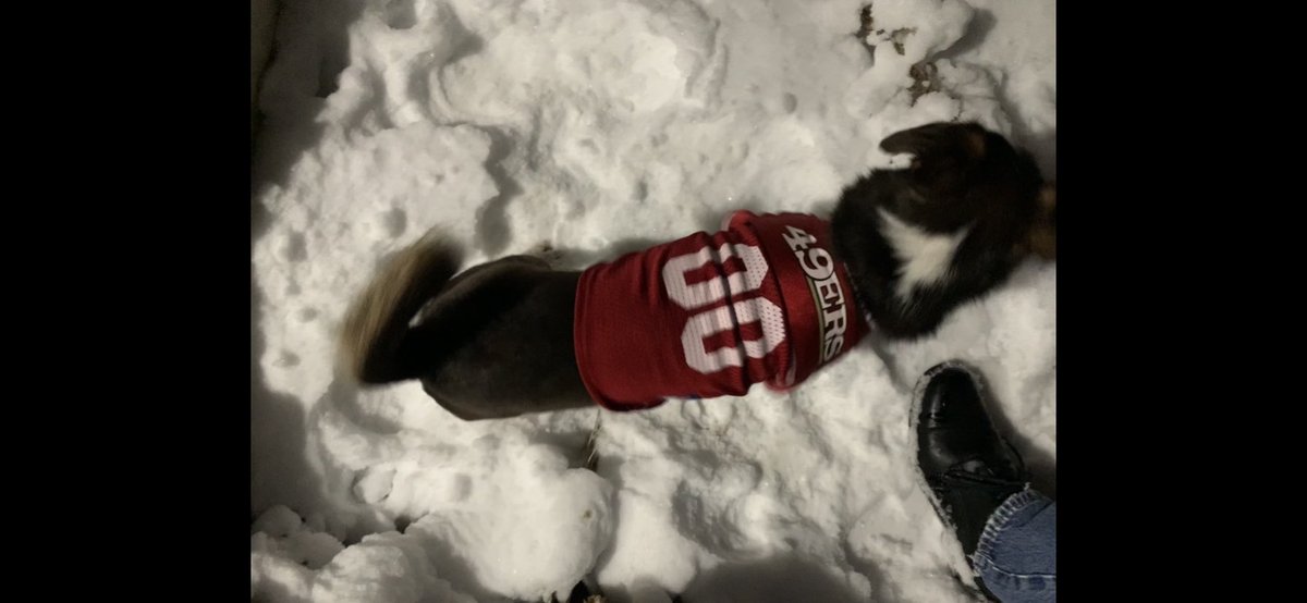 Now he thinks he’s bROCKET Purdy!!! Serious case of the zoomies once he was back in the house to celebrate! Woohoo! #NinersFootball #SanFrancisco49ers