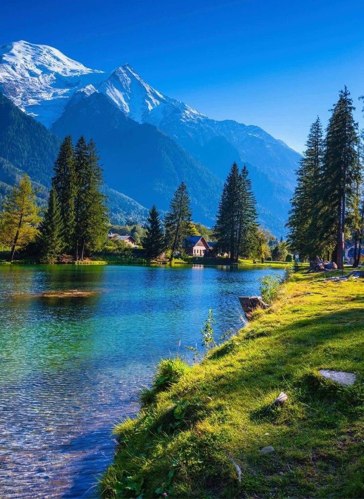 Good morning 🌄 sweet friend's 🌹💚🥰❤💙😍😘🥀🌺🌸🌷🌹💐🌲🌳🌴 have a nice day 🙂☕❤️😍💋