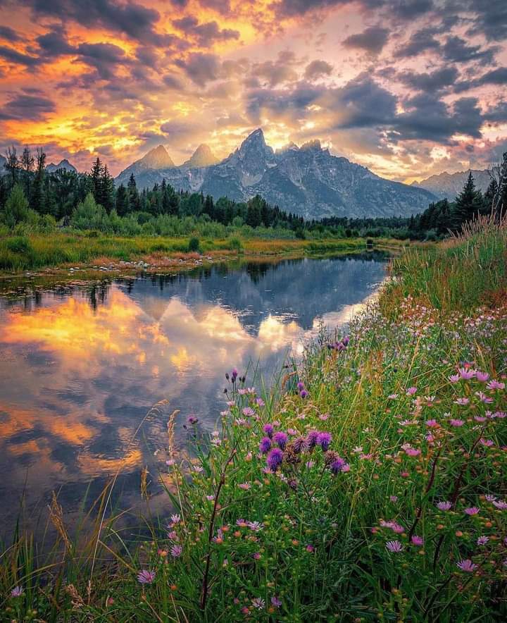 Beautiful colors in Wyoming 🍁 — #StayWild
📸:
Seeking the Unseen. Living Among The Wild.
#AmongTheWild AmongTheWildCo.com
🌲| One Tree Planted With Every Order