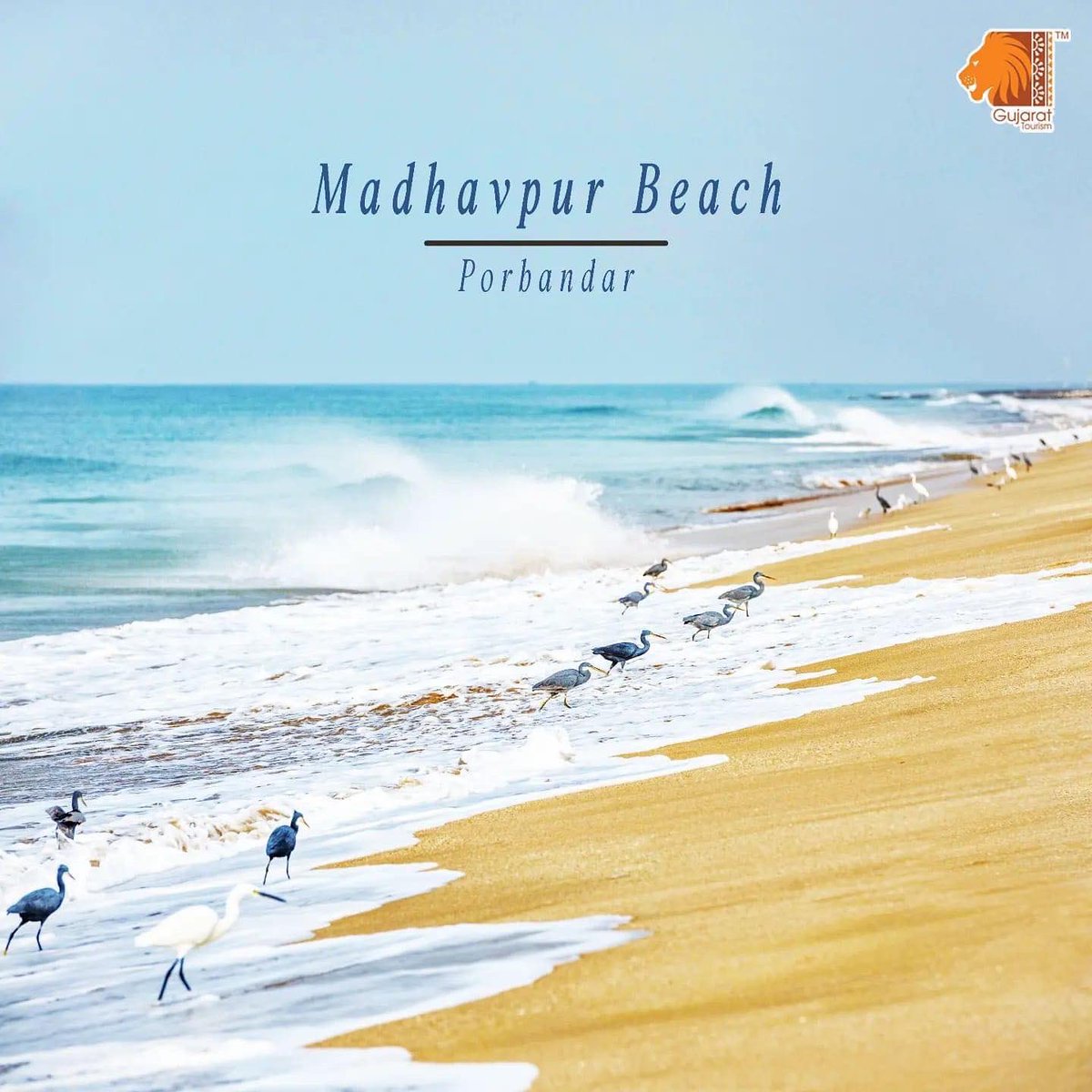 igaurangpatel10's tweet photo. Madhavpur Beach, Porbandar is one of the well-known beaches of Gujarat. It is named after the legendary king, Madhav Rao. The Beach has a long coastal route and the shoreline is surrounded by coconut trees, providing stunning views. https://t.co/PjArBuNhGv
