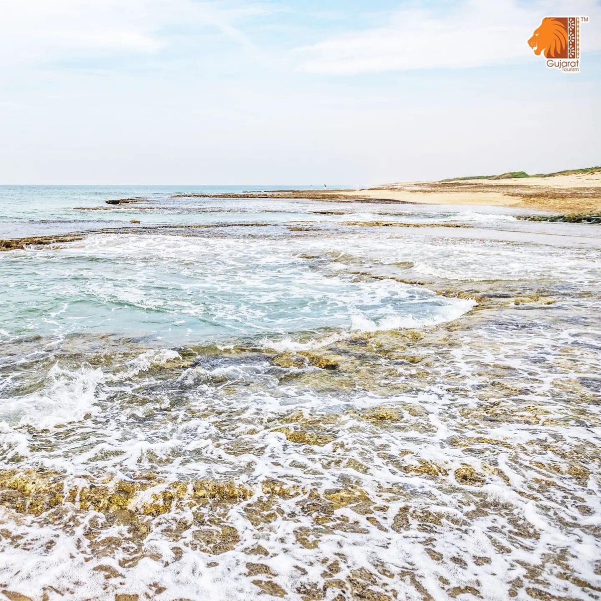 igaurangpatel10's tweet photo. Madhavpur Beach, Porbandar is one of the well-known beaches of Gujarat. It is named after the legendary king, Madhav Rao. The Beach has a long coastal route and the shoreline is surrounded by coconut trees, providing stunning views. https://t.co/PjArBuNhGv