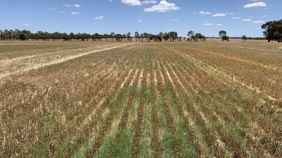 Adam Smith tweet media