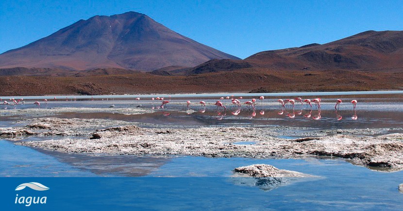 Bolivia aumentará la seguridad hídrica con US$500 millones de financiamiento del BID dlvr.it/SfSh2l