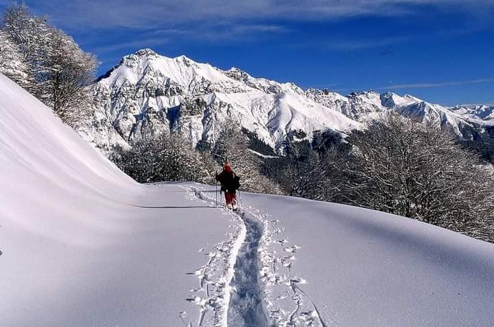 "La gentilezza è come la neve: abbellisce tutto ciò che copre". Kahlil Gibran. Scopri le nostre Ciaspolate con guida alpina su montagnelagodicomo.it 
📷 Splendida foto di Claudio Pigazzi 
#lakecomo #lagodicomo #montagnelagodicomo #valsassina #lecco #como #comolake #inlombardia