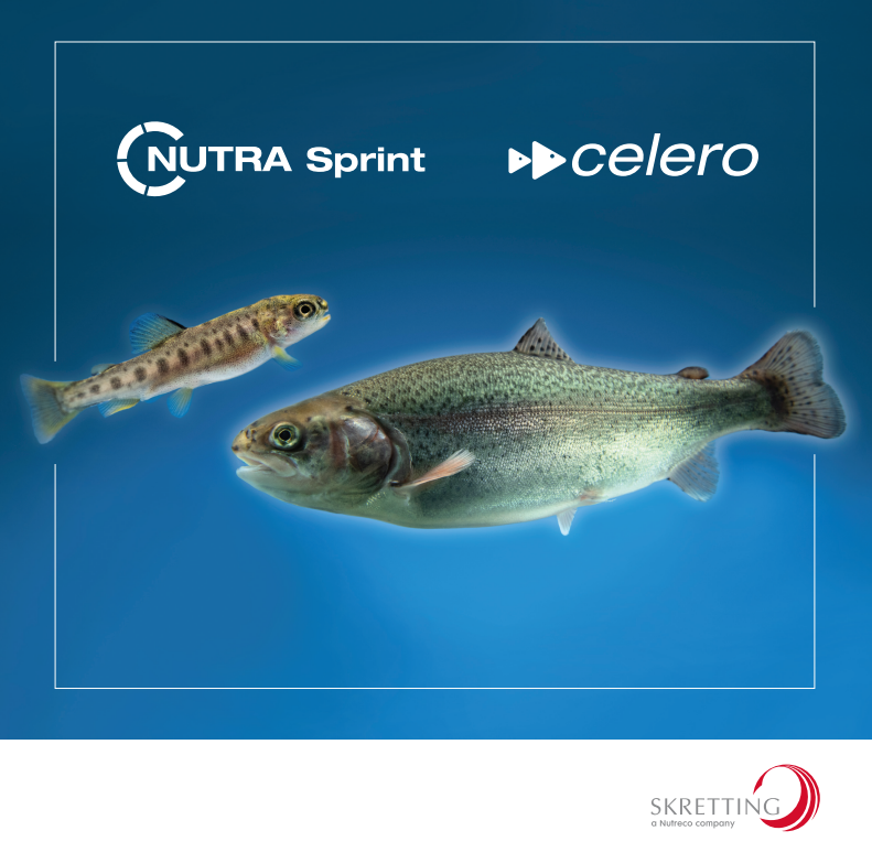 Today we celebrate the first anniversary of our newest rainbow trout produts: Celero and NutraSprint. Learn about our products here: fal.cn/3utN0 #aquaculture #feedingthefuture #innovation #trout #products #news