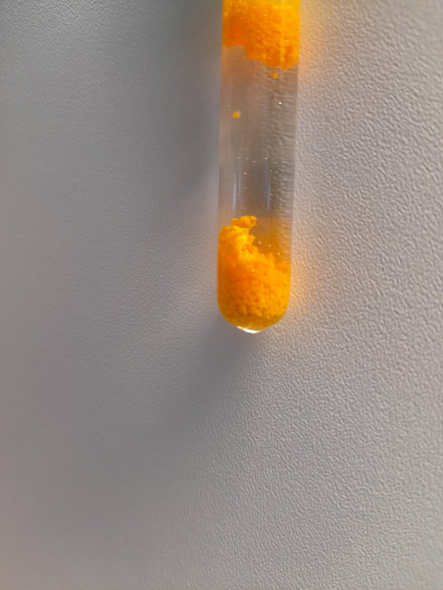 fischkopf1897's tweet photo. Gestern im Labor: Buntes Zeug!

Nachdem nun meine Analyse der Urotropin-Gruppe und der (NH4)2S-Gruppe fertig ist, darf ich nun auch zur HCl-Gruppe und H2S-Gruppe vordringen! https://t.co/79WXTgSo6E