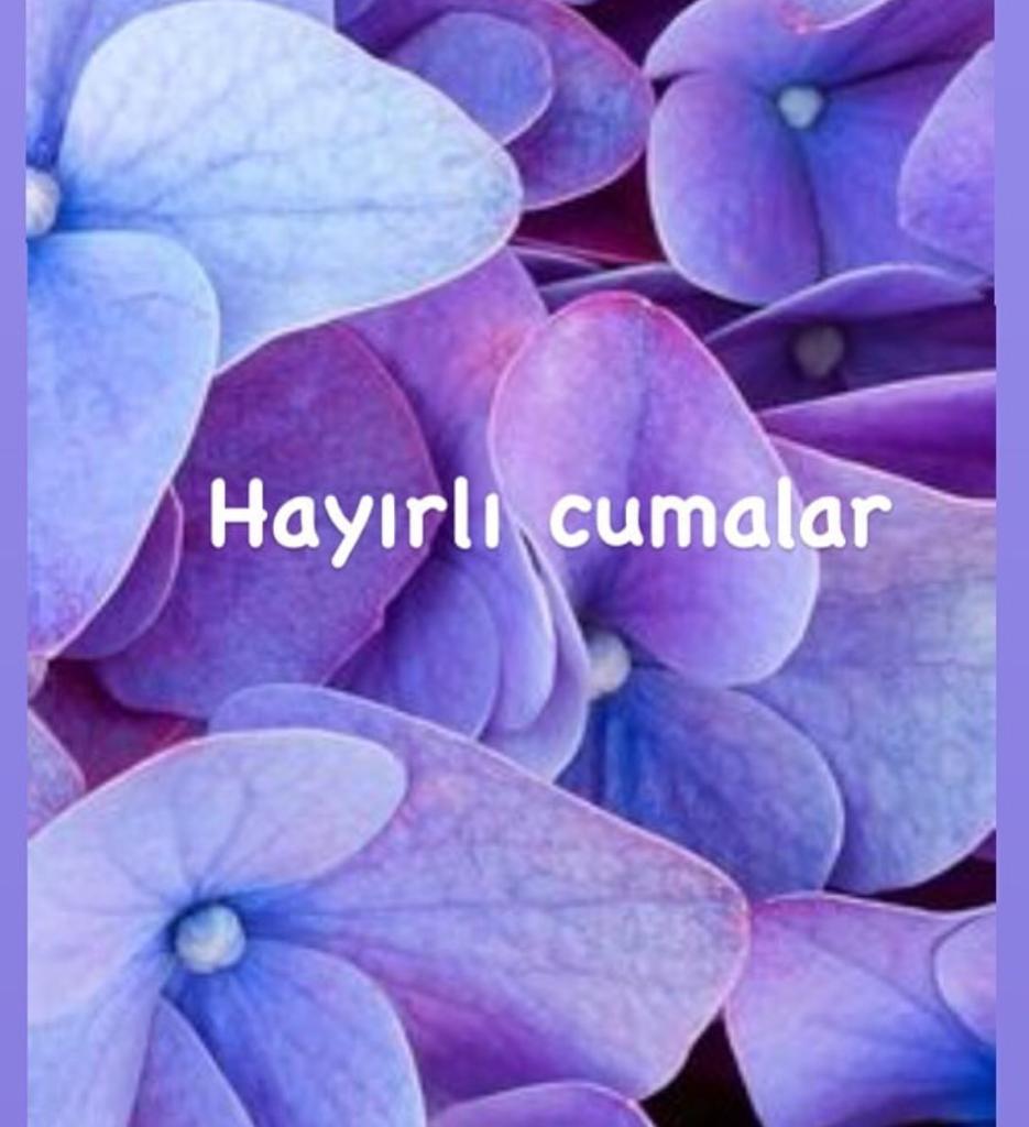 ankakusu_35's tweet photo. Hayırlısını istemek yetmez kolayını da isteyeceksin, çünkü hayırlısı bazen öyle zor oluyor ki hayırlısından da vaz geçersin. 
Cuma günümüz mübarek olsun dualarda buluşmak ümidiyle! https://t.co/yGbxKPxB9f