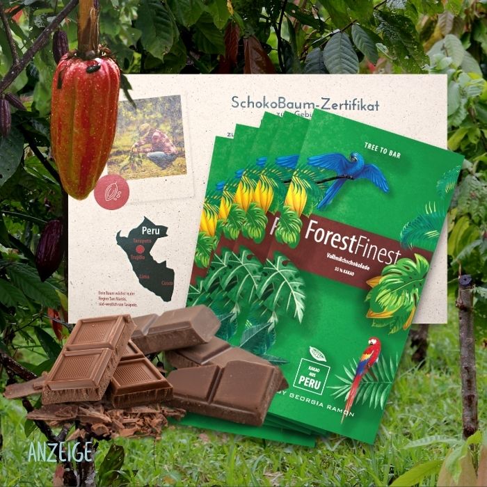 ForestFinanceDe's tweet photo. 🎄Nachhaltige #Weihnachten? Klar geht das! In unserem neuen #GeschenkBaum-Shop gibt es garantiert grüne #Baumpatenschaften. Jetzt #schenkenundschützen: https://t.co/3hsiapLpm5 
#bestesweihnachtsgeschenk #nachhaltigeweihnachtsgeschenk #Klimaschutz #Waldschutz https://t.co/smFd0Dt44r