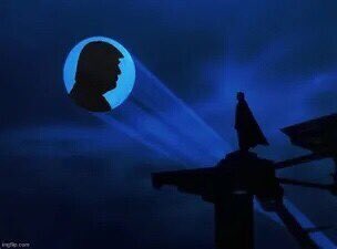 WildIrishCactus's tweet image. Why don’t you stand with the people of your own country for once - instead of other countries.