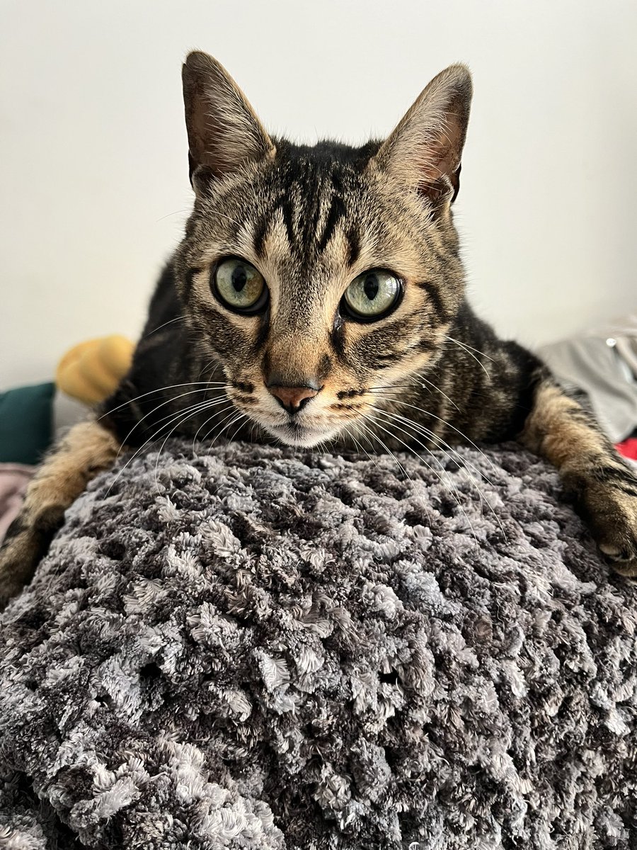 Trinity • #Trinitrip 🇰🇷 tweet media