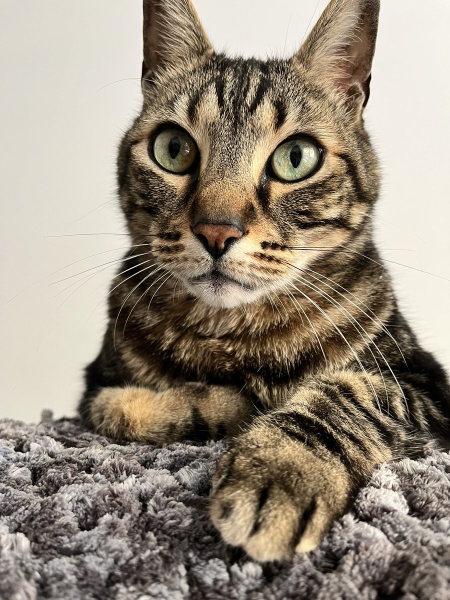 Trinity • #Trinitrip 🇰🇷 tweet media