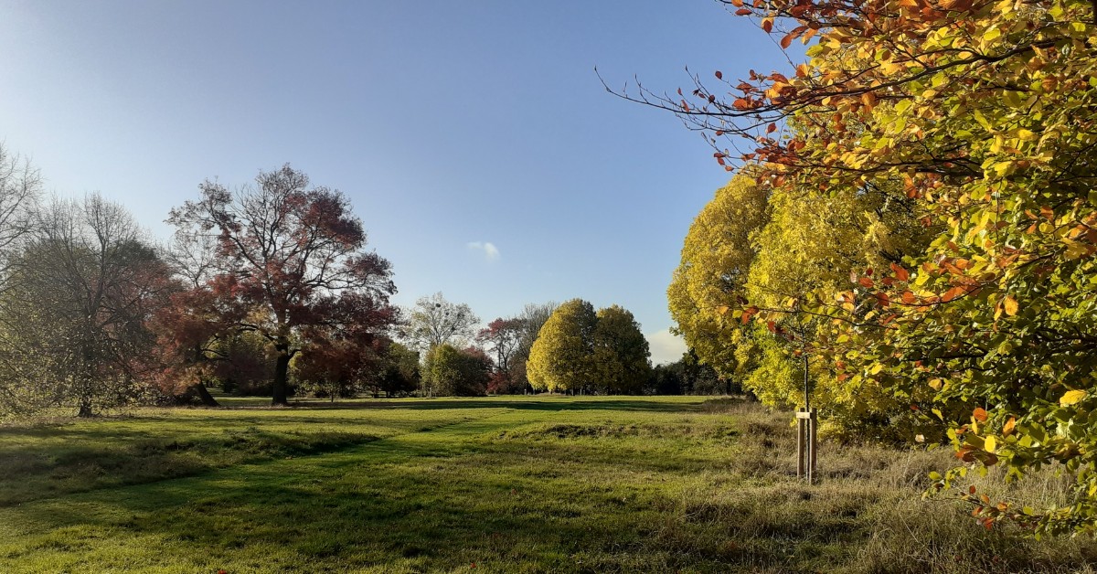 From sports fields and playgrounds to formally managed parks and natural landscapes, the city boasts a rich diversity of publicly accessible open spaces 🐿️ 🦄 🌲 Find out more 👉 orlo.uk/dPYGS 👈
