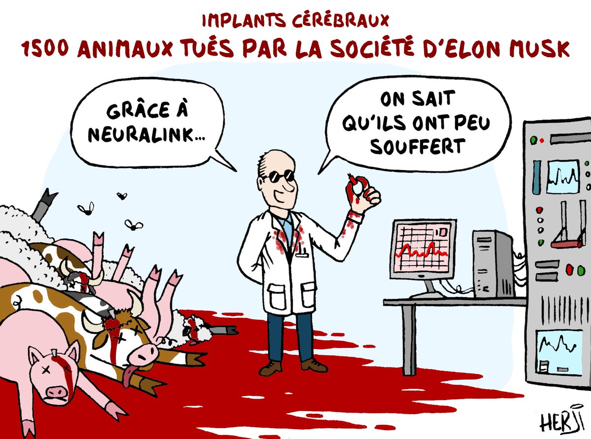 Elon Musk aime les puces (c'est tout)

Dessin pour @Twigousse