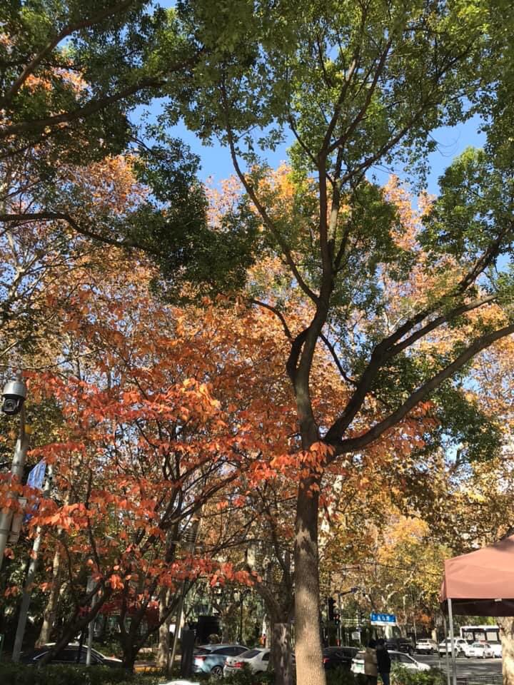w2p93's tweet photo. 你在哪呀？我在这�� #中国 https://t.co/Agw6OTQjey