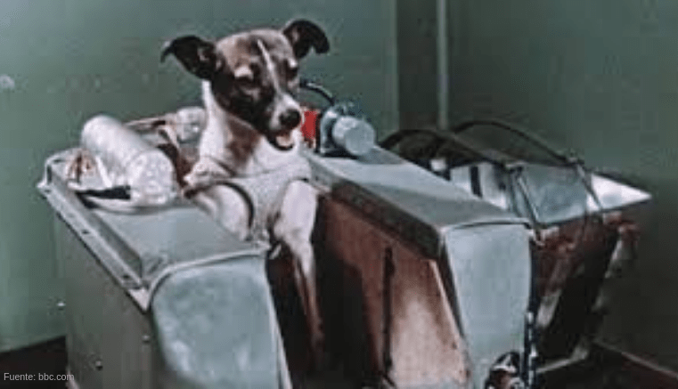 EsGenerales's tweet photo. Laika, la primera criatura viva en el espacio

La perrita Laika, fue la única tripulante del Sputnik 2 lanzada al espacio el 3 de noviembre de 1957......

#NikitaKruschev #Sputnik1 #Sputnik2

https://t.co/AWOx8hHioa https://t.co/WSF0kYGrRv
