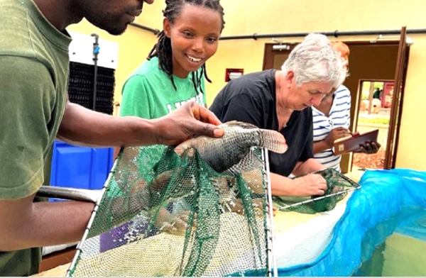 || Nutreco to promote sustainable aquaculture in Africa || . Read More >>> feedplanetmagazine.com/blog/nutreco-t… . @Nutreco . #Sustainable #Aquaculture