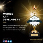 Photo by WDI - A Mobile App Development Company (@wdideas)