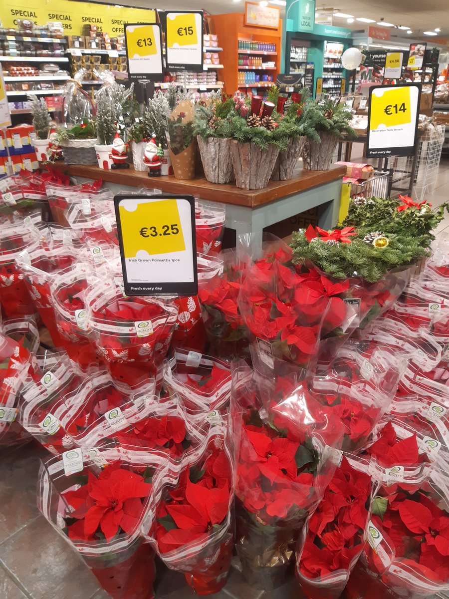 Range of festive flowers to choose from with Irish Poinsettia Only €3.25 #QueallysSupervalu #killaloe #Ballina