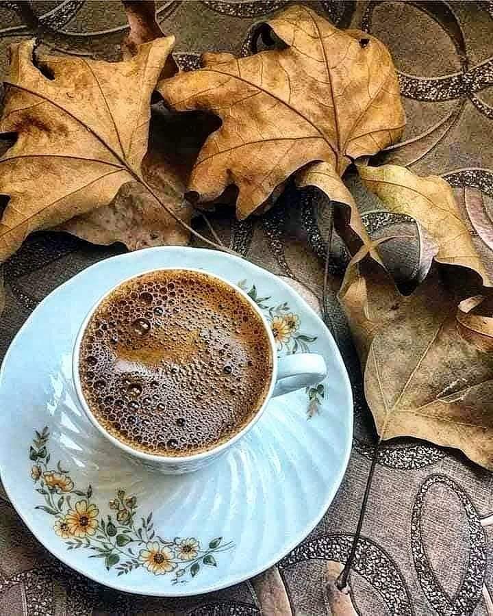 ibrahimaksu3849's tweet photo. Bazen;
İhtiyacımız olan tek terapi,
En yakın arkadaşımızla
Kahve içmektir.... https://t.co/D32D1AlcKm