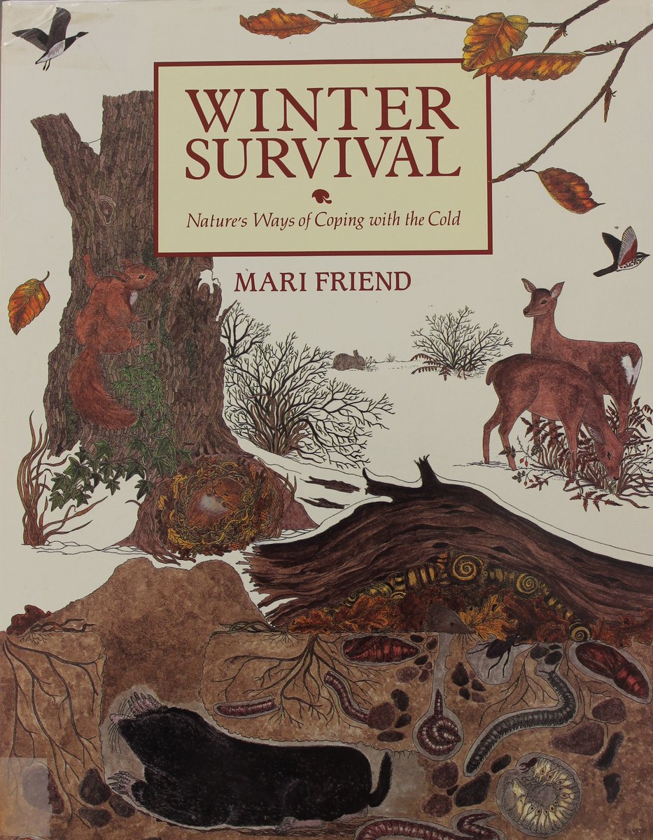 DerbyshireDRO's tweet photo. Short days, cold temperatures. Our #LocalStudies book Winter Survival, Natureβs Ways of Coping with the Cold by Mari Friend considers fascinating ways nature has devised to ensure survival of plants & animals. Illustrated with exquisite vignettes of the countryside #HBAHWinter https://t.co/F47AKkUSAO