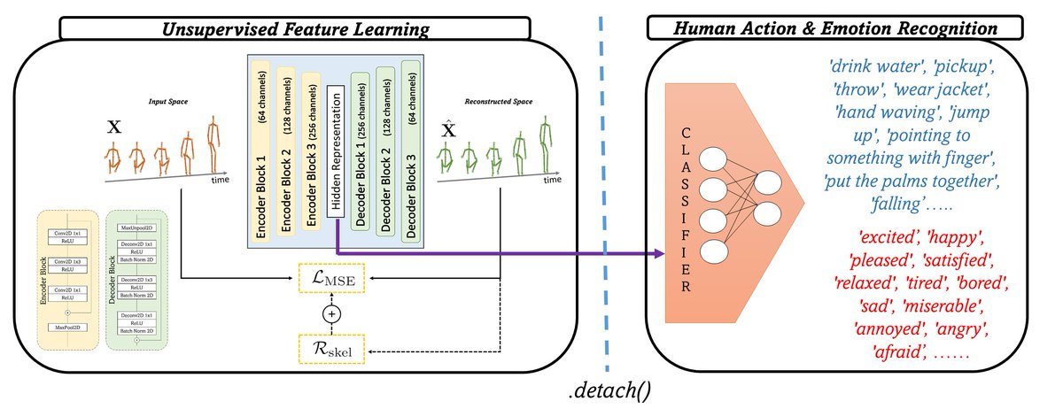 cigdem.beyan (@beyancigdem) on Twitter photo (1/3) New paper👇 w/<a href="/_Fox90_/">Giancarlo Paoletti</a> & <a href="/alessiodelbue/">Alessio Del Bue</a>
ieeexplore.ieee.org/document/99874…
💫 Convolutional residual autoencoder modeling skeletal geometry across temporal dynamics of the data without using labels
💫Laplacian regularization leveraging upon the implicit skeleton joints connectivity (1/3) New paper👇 w/<a href="/_Fox90_/">Giancarlo Paoletti</a> & <a href="/alessiodelbue/">Alessio Del Bue</a>
ieeexplore.ieee.org/document/99874…
💫 Convolutional residual autoencoder modeling skeletal geometry across temporal dynamics of the data without using labels
💫Laplacian regularization leveraging upon the implicit skeleton joints connectivity