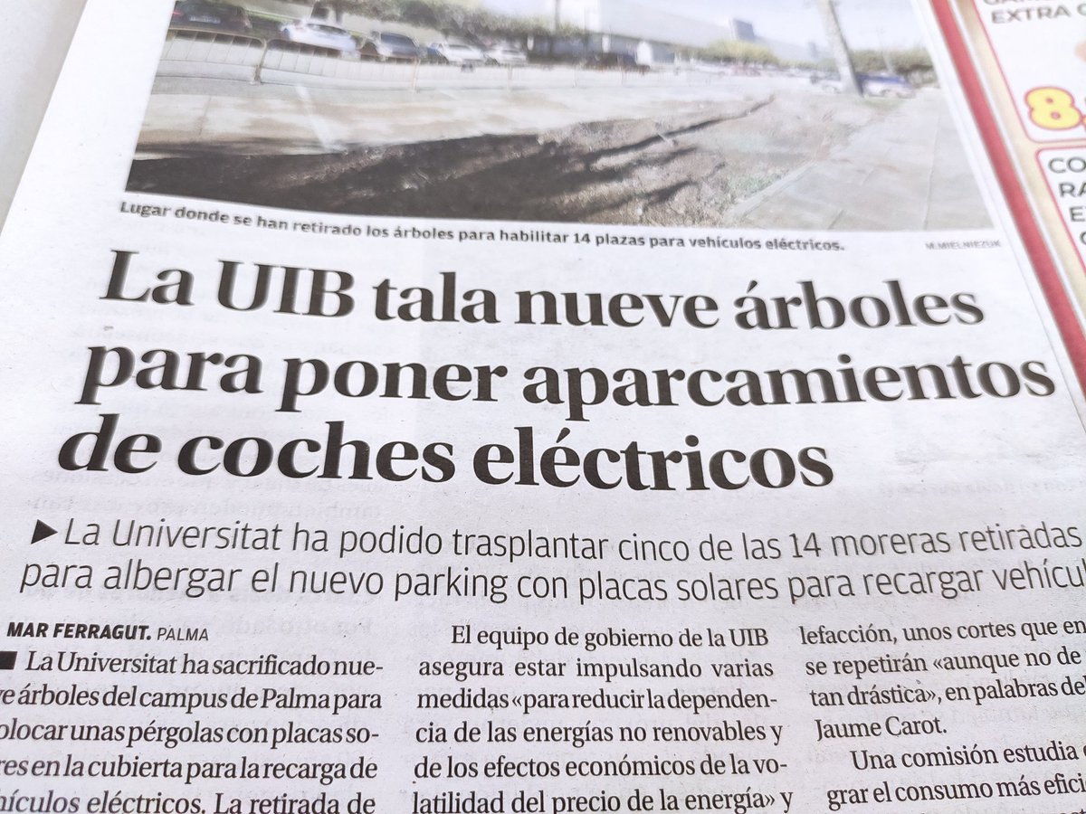De veritat no hi havia altre lloc a l'enorme campus de la UIB? Incongruència, llevar arbres per possar cotxes elèctrics, cotxes, tanmateix. <a href="/2021_sostenible/">mallorca sostenible</a> <a href="/UIBuniversitat/">Universitat de les Illes Balears - UIB</a> @SHNB_BSHNB <a href="/ajuntpalma/">Ajuntament de Palma</a> <a href="/goib/">Govern de les Illes Balears</a>