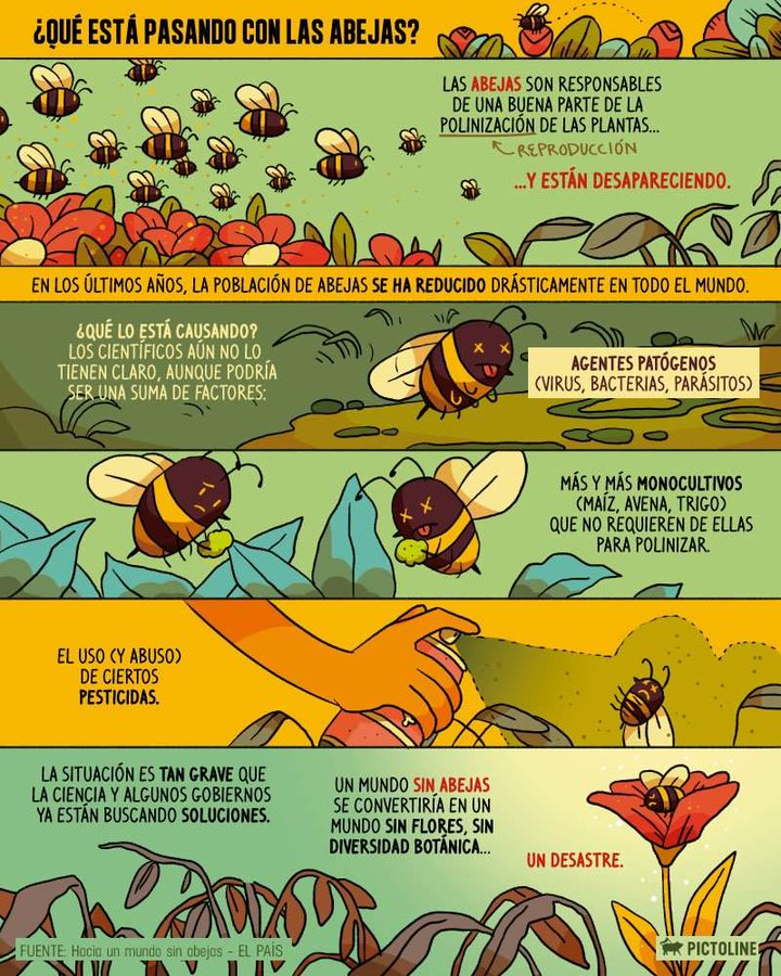 La GRAN pregunta ❓ ¿Qué está pasando con las abejas? 🐝🐝🐝 
La explicación en viñetas a uno de los grandes problemas medioambientales del momento. 

❤️ Difunde 🔁 Comparte 💬 Comenta
📸 vía PictoLine