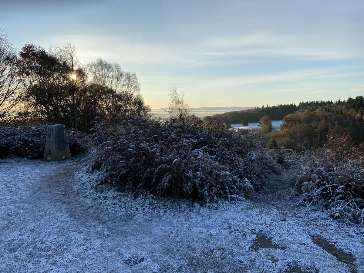 Stephen Aspinall (@basratstea) on Twitter photo The walk back from school drop off was crisp and wonderful this morning! The walk back from school drop off was crisp and wonderful this morning!