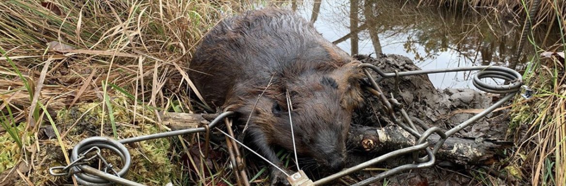 As long as you continue to torture and skin animals for their fur (THEIR FUR) <a href="/Dior/">Dior</a> , we will fight for their lives!! Stop brutalizing animals in the name of fashion!