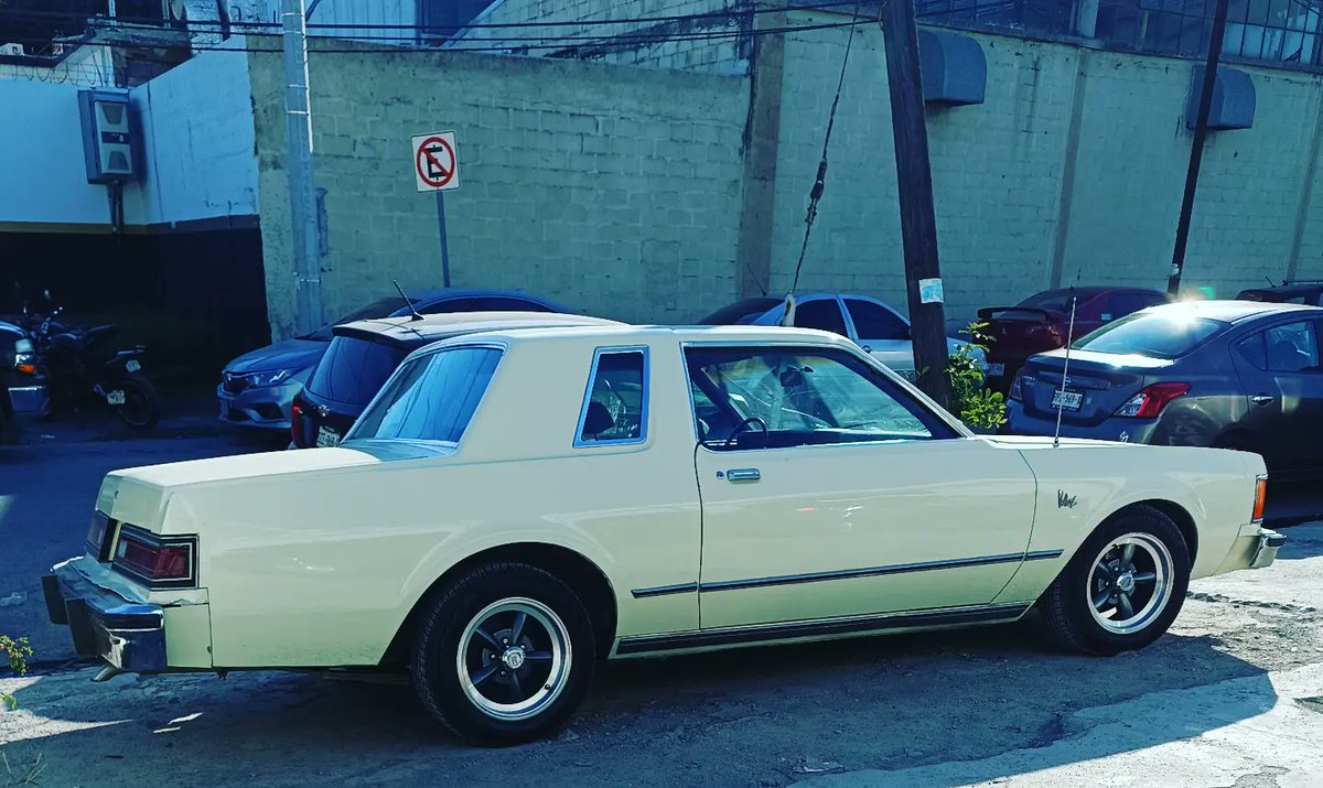 peterparkercoll's tweet photo. Dodge Volare de la vida real VS mi Dodge Diplomat de Greenlight.

#dodgevolare
#dodge
#dodgediplomat

@dodgeofficial @chrysler @officialmopar https://t.co/S72qEzE6WR