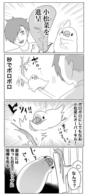 我が家の小松菜の扱い #文鳥 