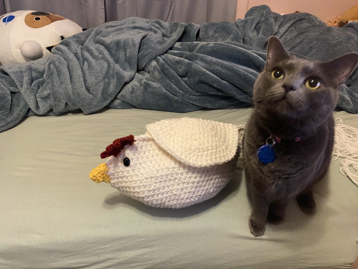 MadeByRye's tweet photo. My take on the cluck cluck clutch! Super cute pattern and I love it. I made this little guy as a gift for my grandmother and I think she’s gonna love it too! (Peep second pic for my bb London)
#crochet #handmade #yarn #crochettwt #fiberart #chickens #aesthetics https://t.co/E5FIxHd3I2