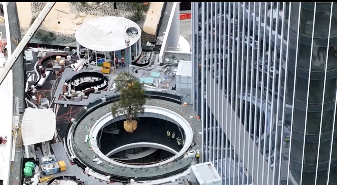 Which reminds me.  Well done <a href="/Chevron/">Chevron</a> on putting a tree into your new HQ. Finally a CO2 removal system that works.  Have a great Christmas everyone and see you next year.