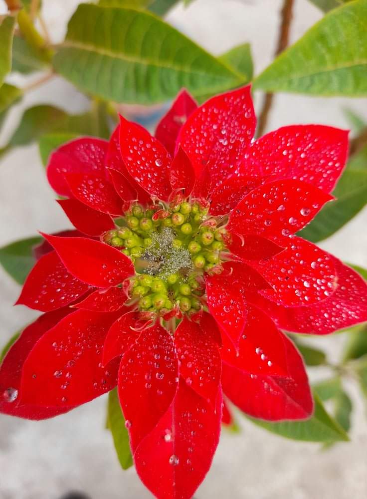 #Happy Friday 🎈🎆🎉
Have a wonderful day 😘❤️😗