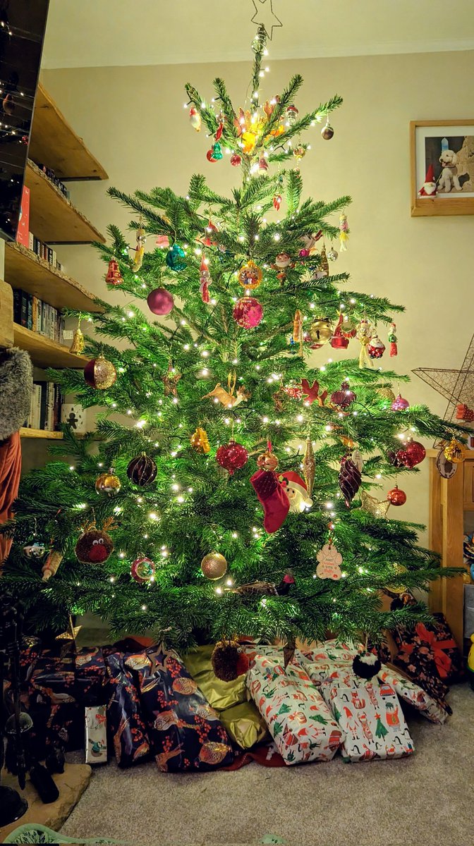Thanks <a href="/wilde_farm/">Wilde Farm</a> for another amazing tree to celebrate Christmas with this year. Now just to get through the last week of work!