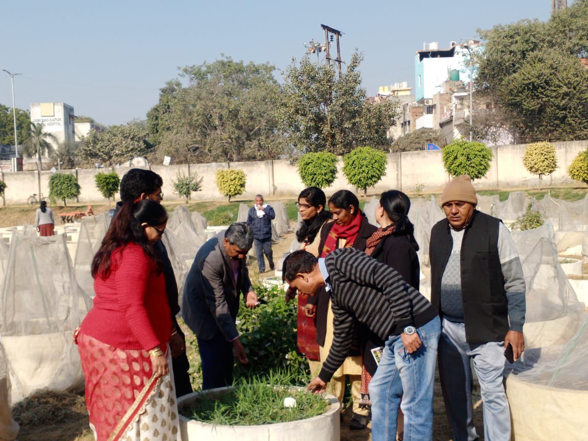KuldeepPGR's tweet photo. Observing the Crop Wild Relatives (CWR) performances of #Lathyrus, #Cajanus, #Vigna, #Crotolaria, #Lens #Melilotus at CWR garden at @nbpgr Research Farm @GenebankICRISAT @ICARDA @DrSherryrachel @Padma_PGR https://t.co/jJIhBO2iyD