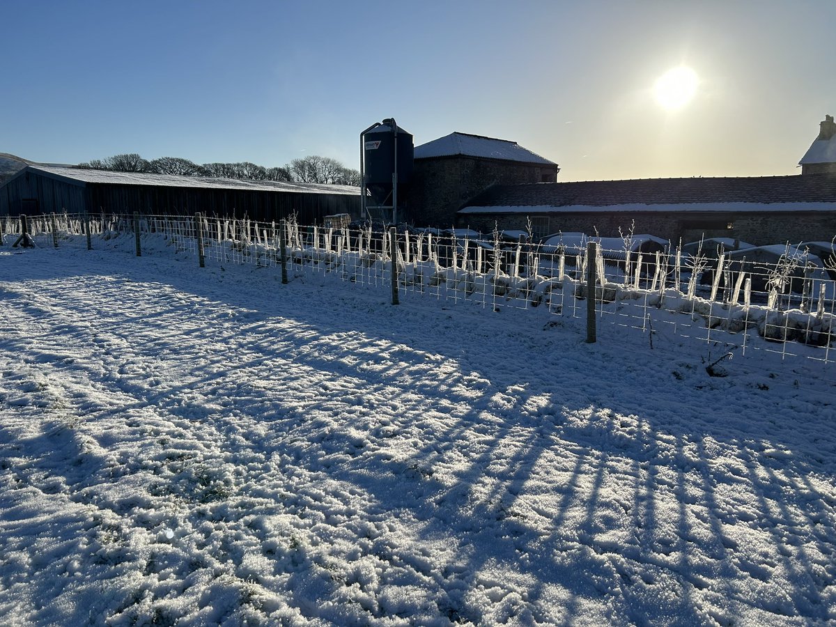 We’re always doing our bit for nature here at Mansergh Hall. Over the last few weeks we’ve been planting new hedge rows. This will create a wildlife corridor from the roadside hedge row to the woodland. The wools nots with much and worth more to ensure this hedgerow prospers 👍